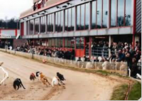 Dog racing