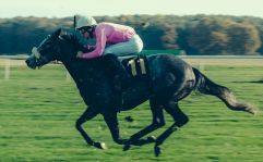 Horse racing Horse racing